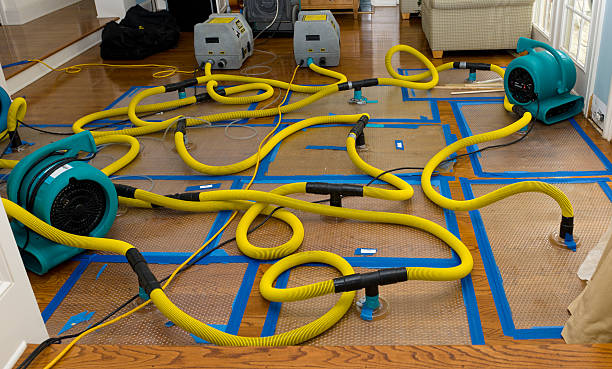 Professional Basement Flood Cleanup technician working in Shallowater, TX